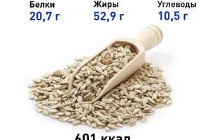 Состав и польза жареных семечек