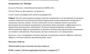 Подорожник — польза, применение и интересные факты
