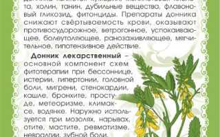 Донник — польза и применение травы
