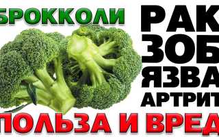 Брокколи и язва — польза или вред?