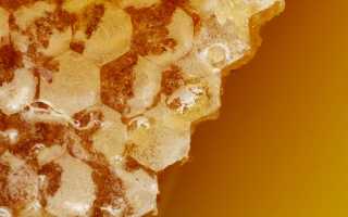 Прополис — секрет народной медицины