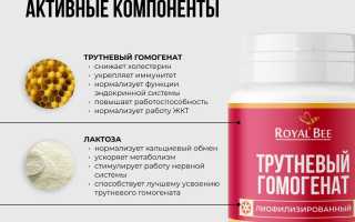 Состав трутневого гомогената — что нужно знать