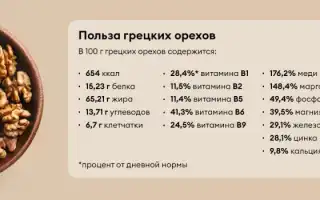 Польза грецких орехов для мужчин — ежедневный рацион
