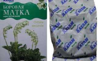 Боровая матка — эффективность при бесплодии по отзывам
