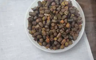 Польза перга для здоровья человека