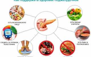 Полезные орехи для поддержания здоровья поджелудочной железы