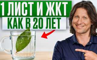 Лавровый лист — чудо-лекарство для здоровья