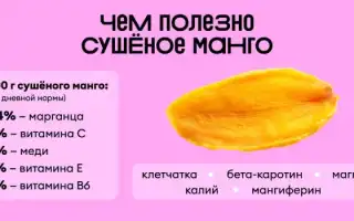 Сушеное манго на диете — подходит ли оно для похудения?