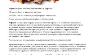 Корица — польза и риски для здоровья