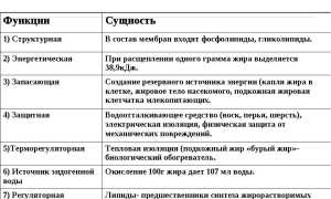 Роль липидов в организме животных — ферментативная и запасающая функции