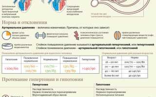 Давление в артериях и венах — где оно выше?