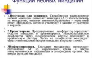 Исследование функции небных миндалин