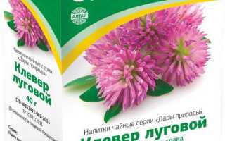 Клевер — трава для здоровья и лечения