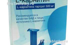 L-карнитин — польза для женщин и отзывы врачей