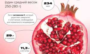 Норма гранатов в день — сколько можно съесть без вреда для здоровья