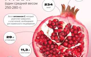Норма гранатов в день — сколько можно съесть без вреда для здоровья