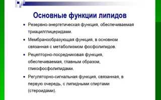 Регуляторная функция липидов в организме
