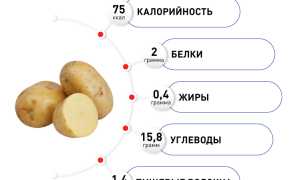 Состав картофеля — польза и содержание витаминов