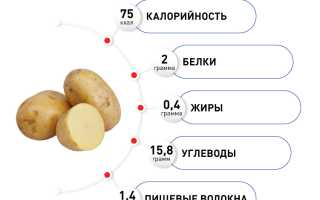 Состав картофеля — польза и содержание витаминов