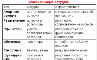 Амортизирующие сосуды — секреты и особенности