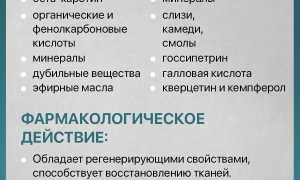 Сабельник — Лечебные Свойства и Применение в Народной Медицине