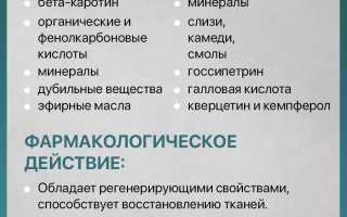 Сабельник — Лечебные Свойства и Применение в Народной Медицине