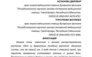 Полезные свойства белены — польза для здоровья