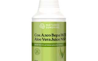 Сок алоэ — секреты здоровья и молодости