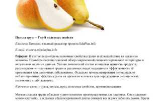 Полезные свойства груши клетчатки на 100 грамм