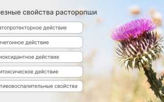 Как расторопша влияет на здоровье человека