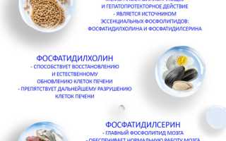 Продукты с фосфолипидами — польза и источники