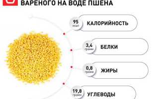 Витамины в пшенице — польза для здоровья