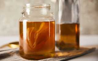 Чайный гриб — польза и преимущества