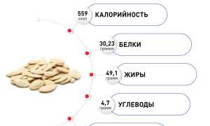 Состав тыквенных семечек — польза и полезные свойства
