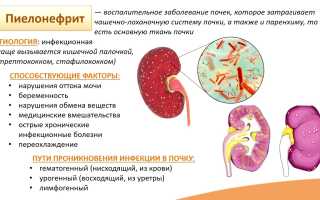 Пиелонефрит и гломерулонефрит отличия