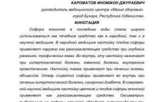 Польза софоры для здоровья