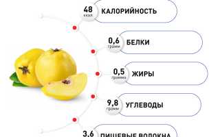 Витамины в айве — польза для здоровья