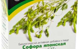 Уход за Софорой Японской — Подробная Инструкция