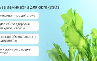 Химический состав ламинарии — польза и свойства