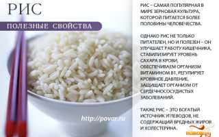 Полезные свойства живого риса для здоровья