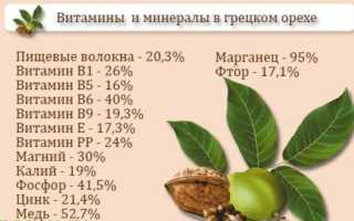 Грецкий орех — природный помощник для мужской потенции