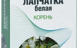 Применение корня лапчатки белой — отзывы и польза