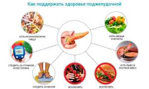 Полезные ягоды для здоровья поджелудочной железы