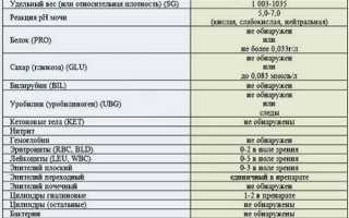 Билирубин в моче при беременности в 3 триместре — что это значит?