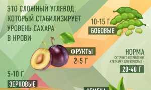 Овсянка — богатый источник клетчатки для здорового питания