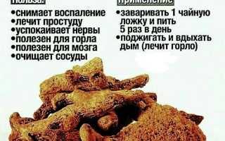 Кыст аль хинди — свойства и применение