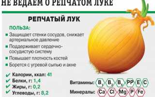 Витамин С в Луке — Польза и Содержание