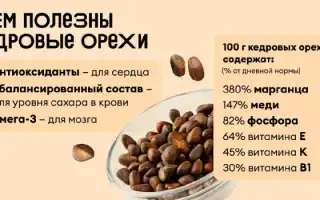 Польза очищенных кедровых орехов для женского здоровья