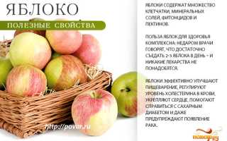 Польза яблок для здоровья