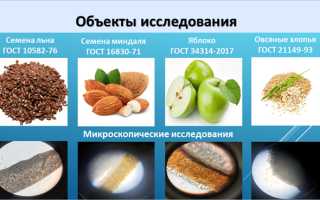 Полезные продукты для профилактики атеросклероза